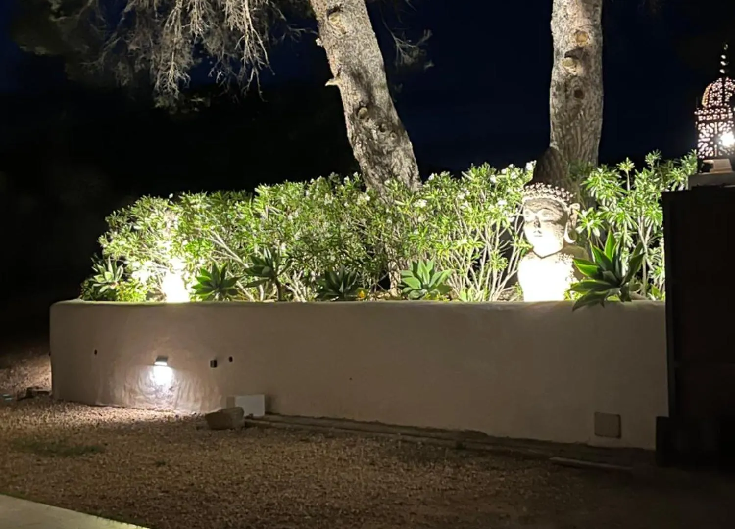 Ses Oliveres San José