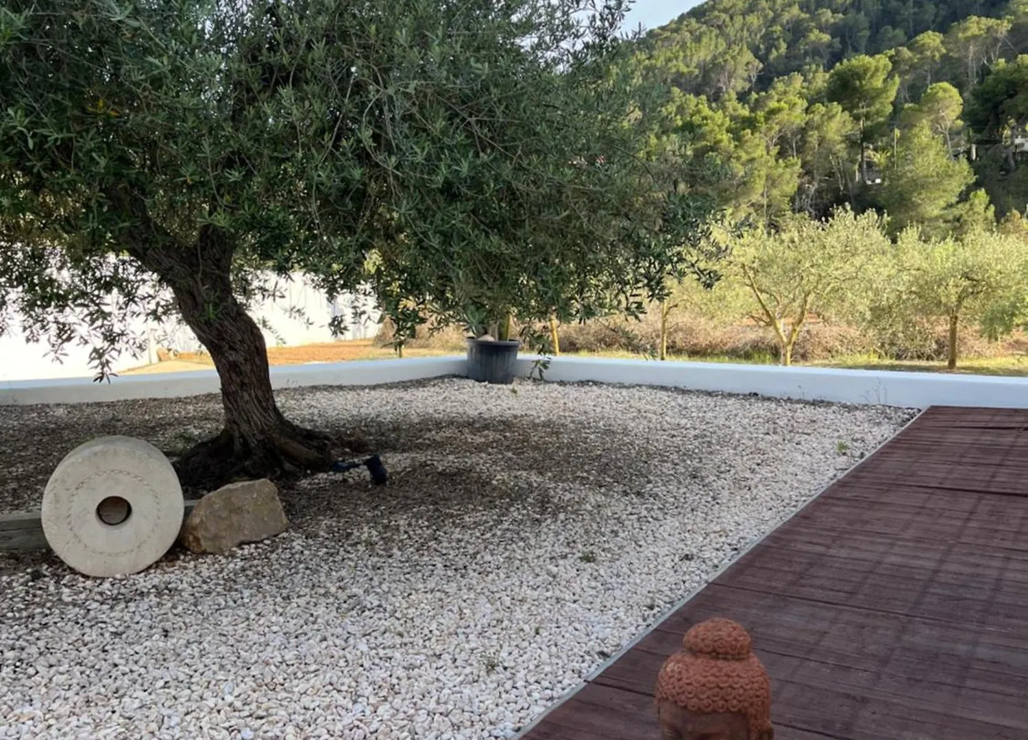 Villa Ses Oliveres San José