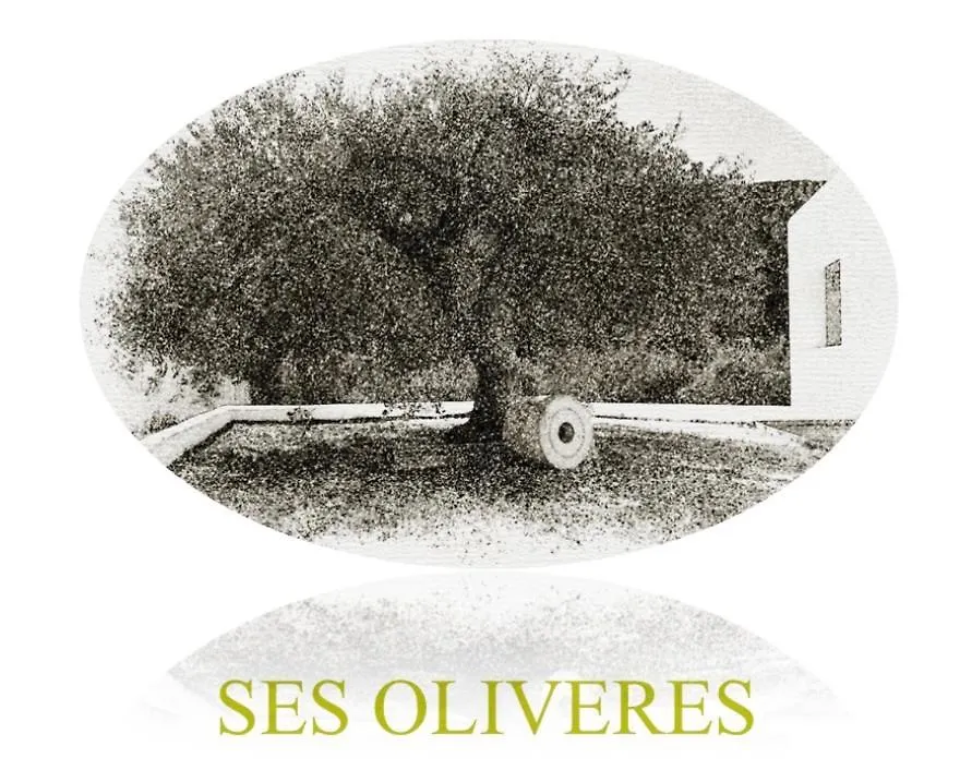 Ses Oliveres San José Villa